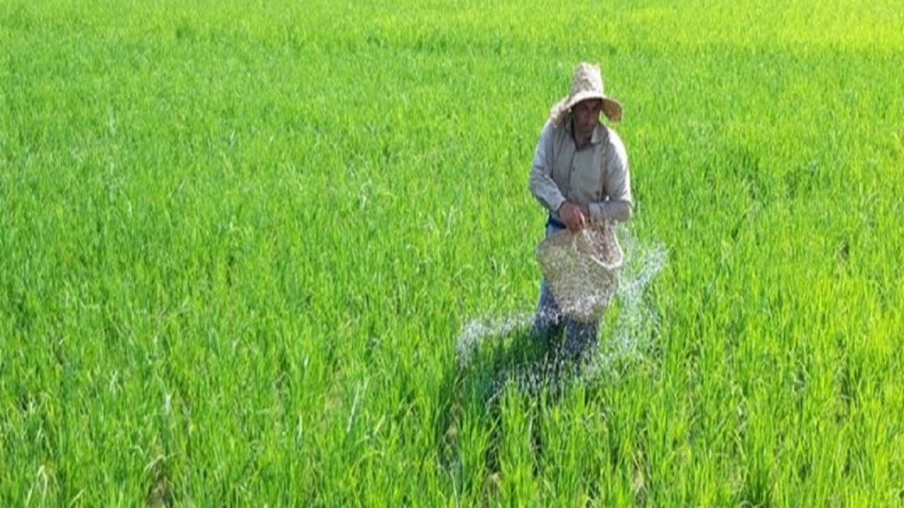 انجام سرشماری عمومی کشاورزی در آذربایجان شرقی