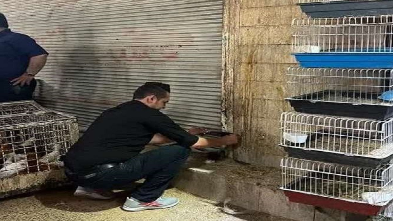 پلمب یک واحد عرضه طیور زنده در قزوین