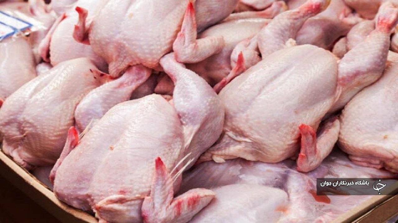 عرضه مرغ قطعه‌بندی و جوجه‌آماده ممنوع است