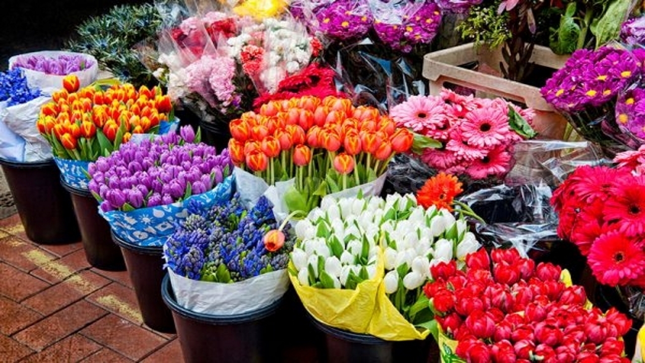 بهره برداری از بازار گل آسمان با ۱۰۰ غرفه تا دو ماه آینده