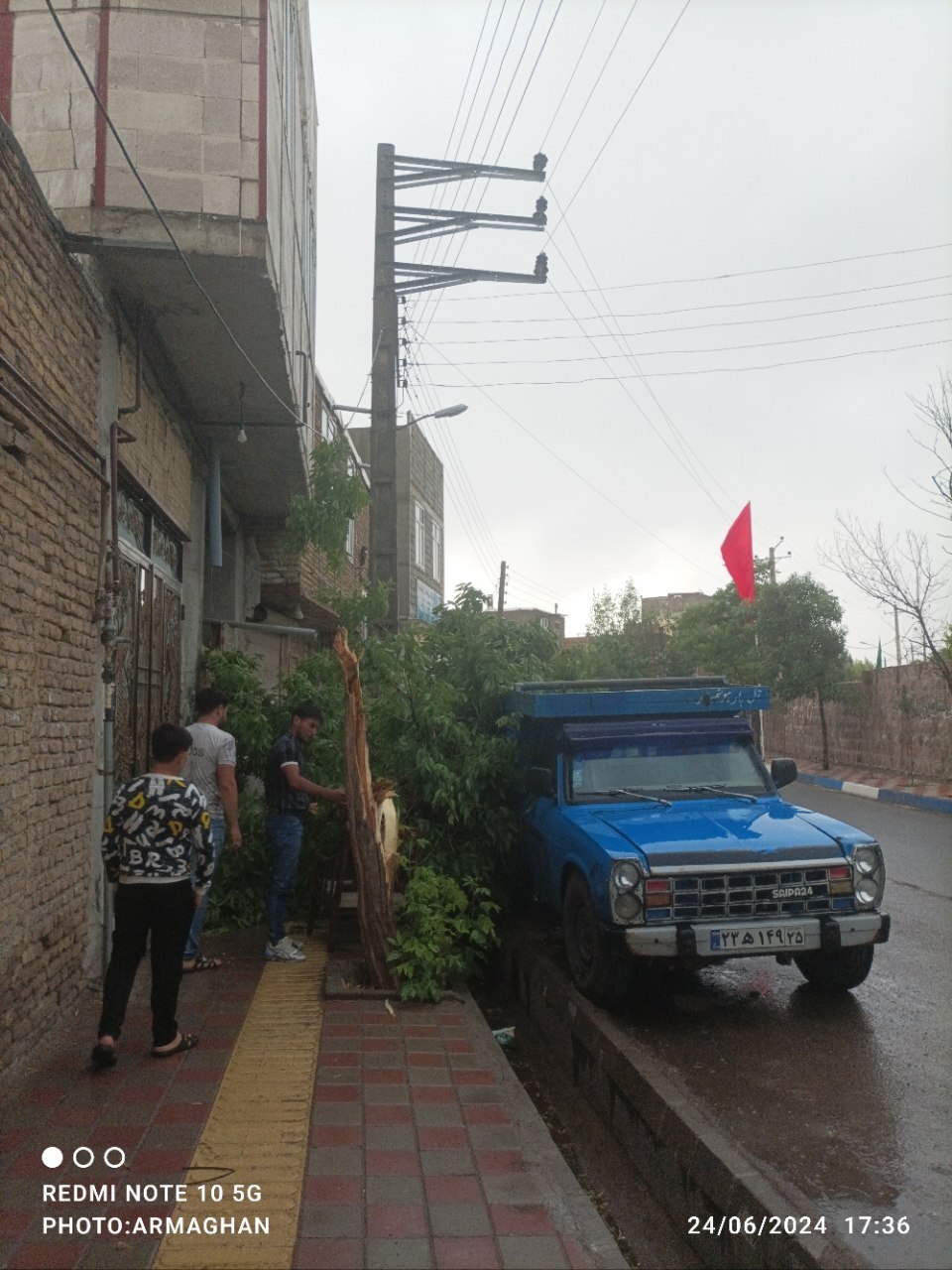سقوط درخت بر روی نیسان