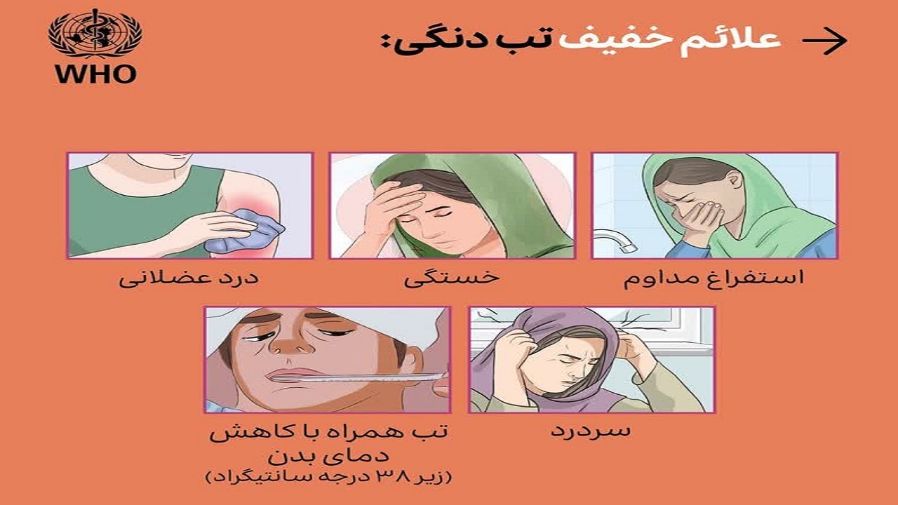 تشکیل کمیته‌های پنج‌گانه برای مقابله با پشه آئدس