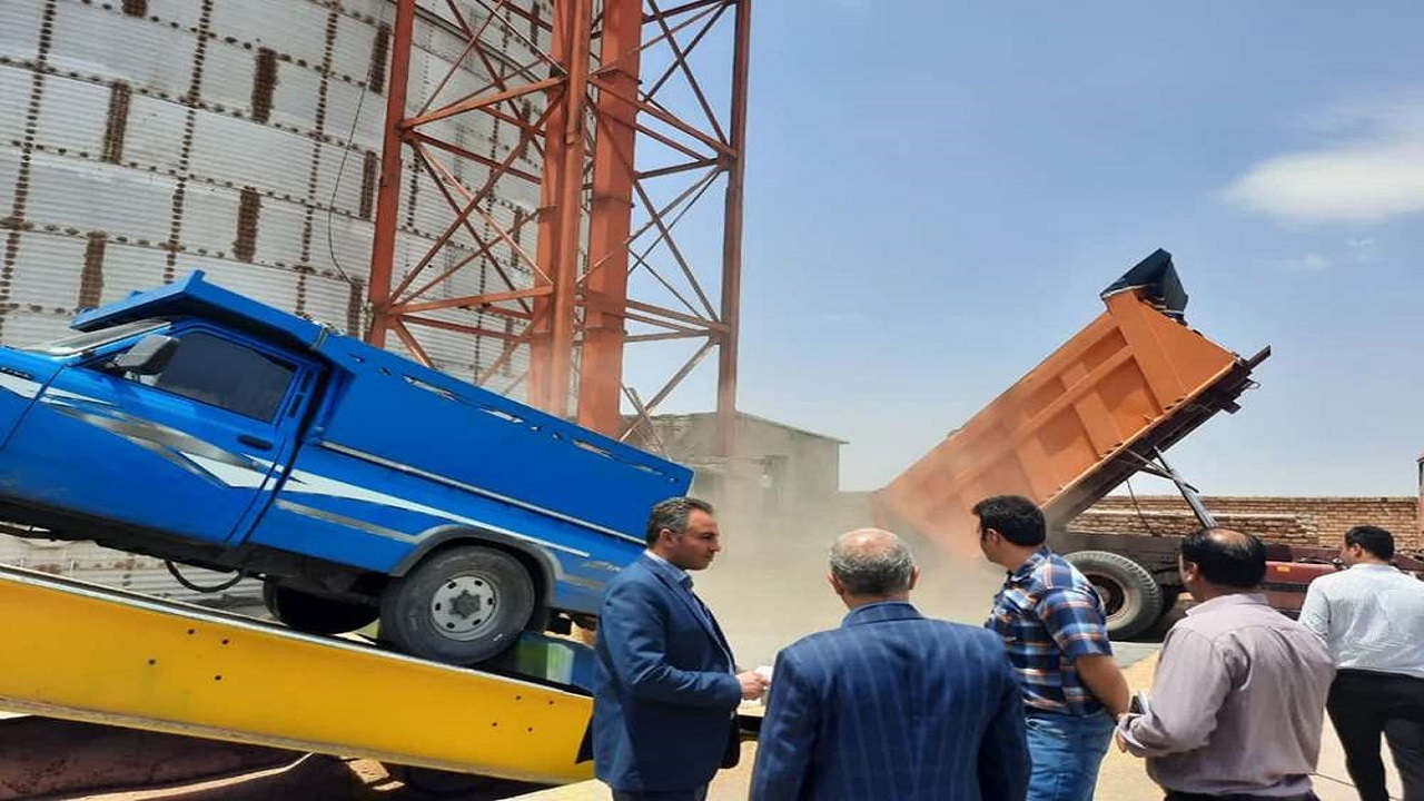 خرید ۱۰ هزار تن گندم تضمینی از کشاورزان شهرستان قزوین