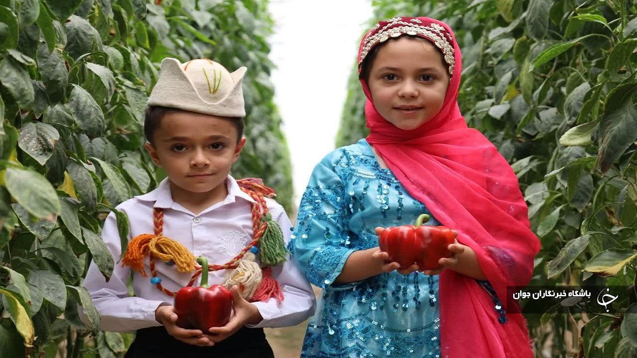 کشت سبزیجاتی خوش طعم و خوش رنگ در شهر نقنه+تصاویر