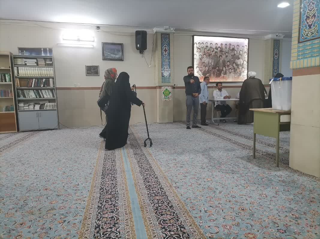 سالمندان در پای صندوق های رای