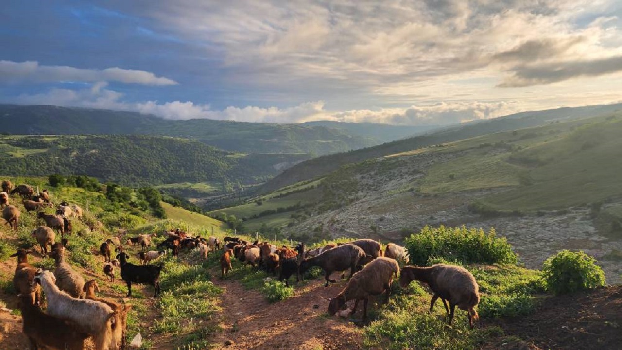 سفری به طبیعت سرسبز روستای اوارد گلوگاه + تصاویر
