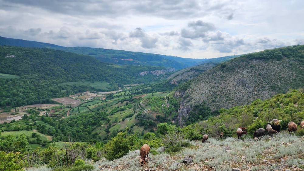 منظره دیدنی و جذاب روستای اوارد منظره دیدنی و جذاب روستای اوارد