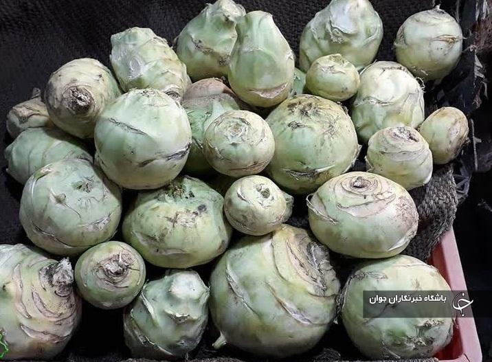 تنوع در پخت غذای سنتی و اصیل آبگوشت به سبک مردمان قم