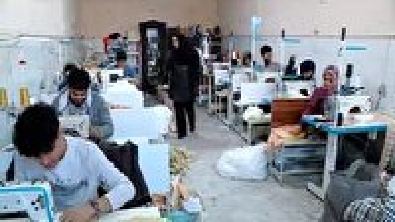 چرخ‌های زندگی بانوی قزوینی بر مدار اراده و پشتکار+ فیلم