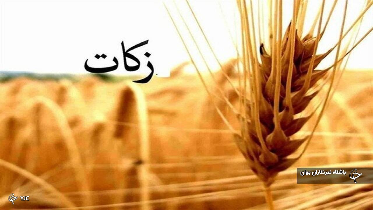 پرداخت زکات در مهاباد ۵ برابر شد