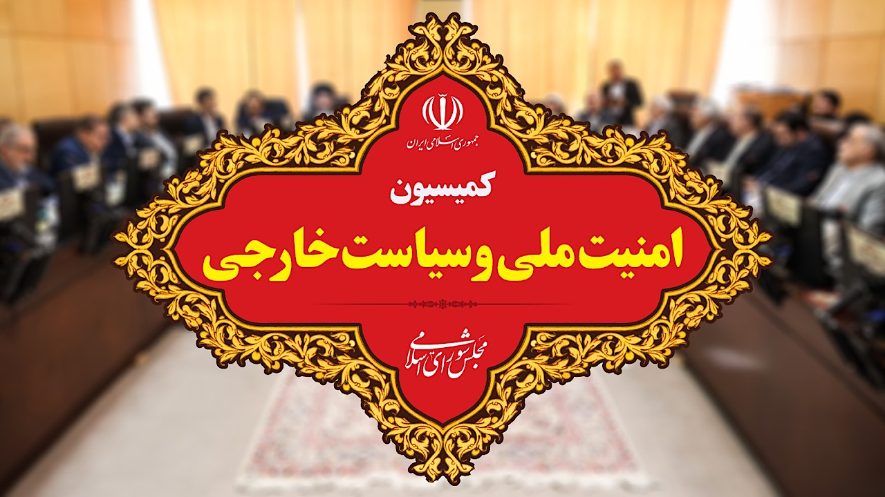 مجلس به عنوان مکمل دولت در حوزه سیاست خارجی عمل می‌کند