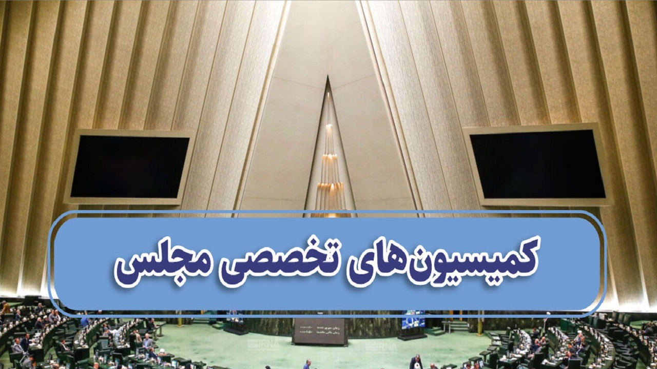 نیمی از نمایندگان خراسان رضوی عضو کمیسیون های اقتصادی مجلس شدند