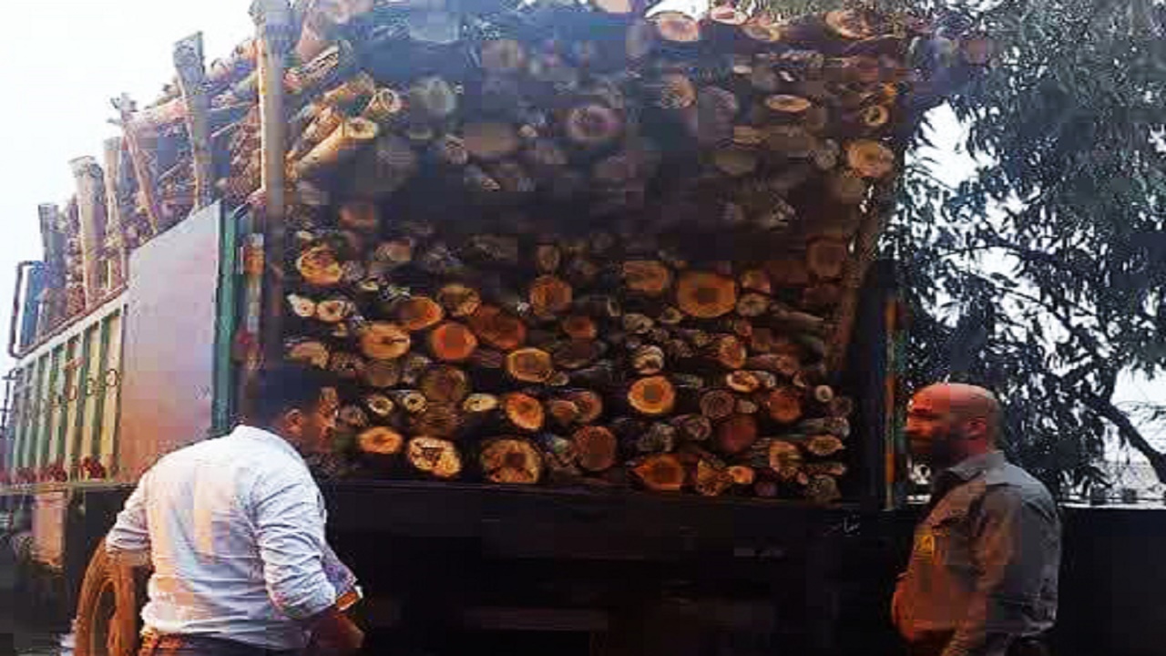 توقیف کامیون حامل ۸ تن چوب قاچاق در ساری
