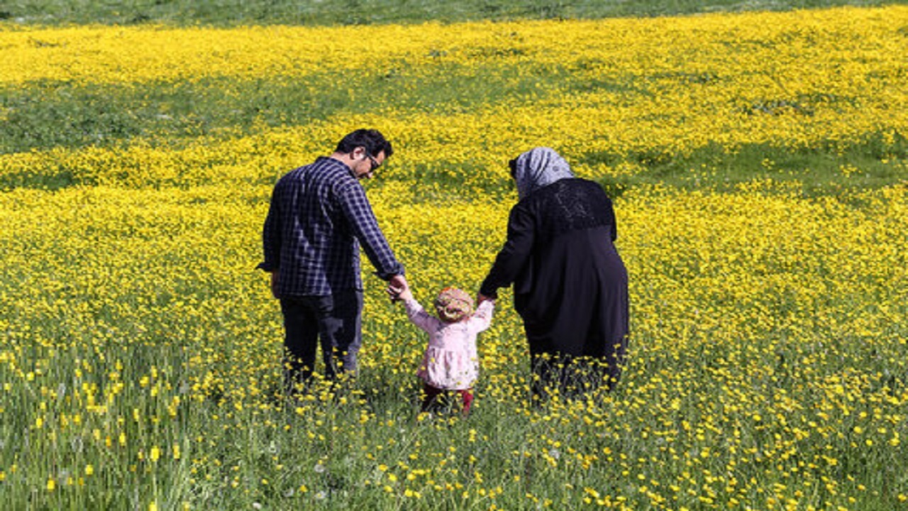 ۸۰۰ خانواده قمی در صف فرزندخواندگی هستند