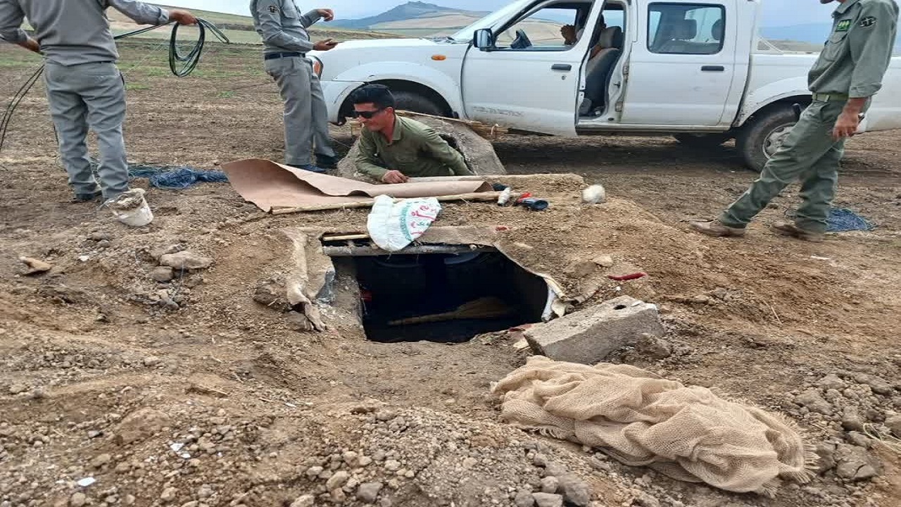 دستگیری صیاد باز‌های شکاری در شهرستان کلاله