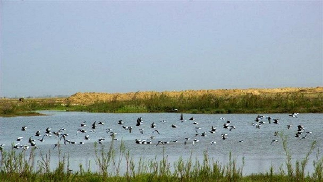 سند تالاب صالحیه به نام سازمان حفاظت محیط زیست صادر شد