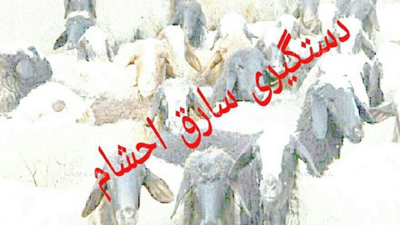 انهدام باند سارقان احشام در استان قم