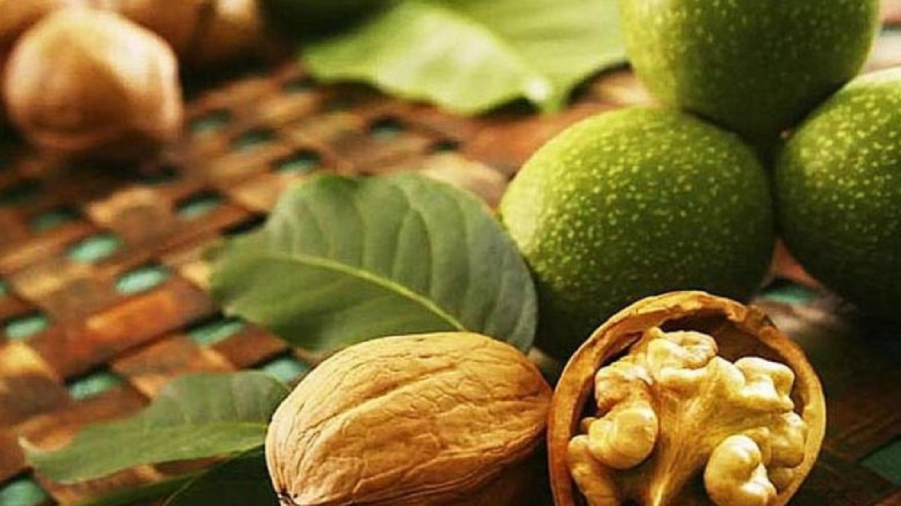 ممنوعیت خرید و فروش گردو تا پایان شهریورماه در تویسرکان 