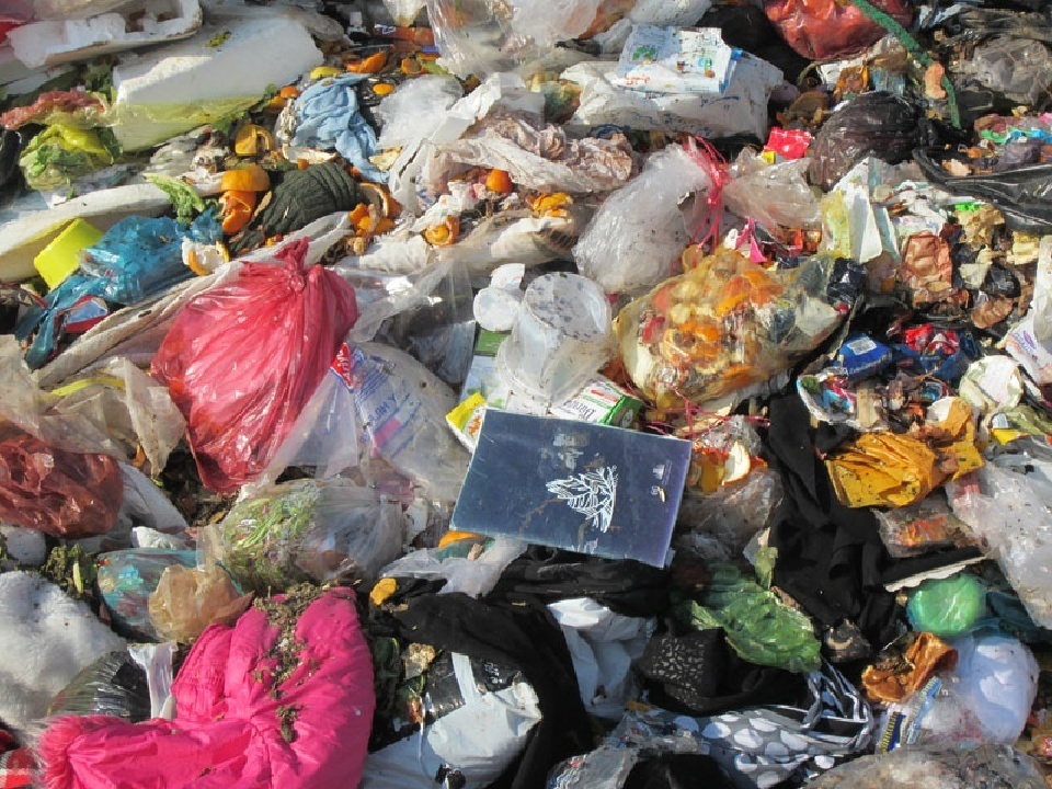 زباله بلای جان طبیعت آسارا