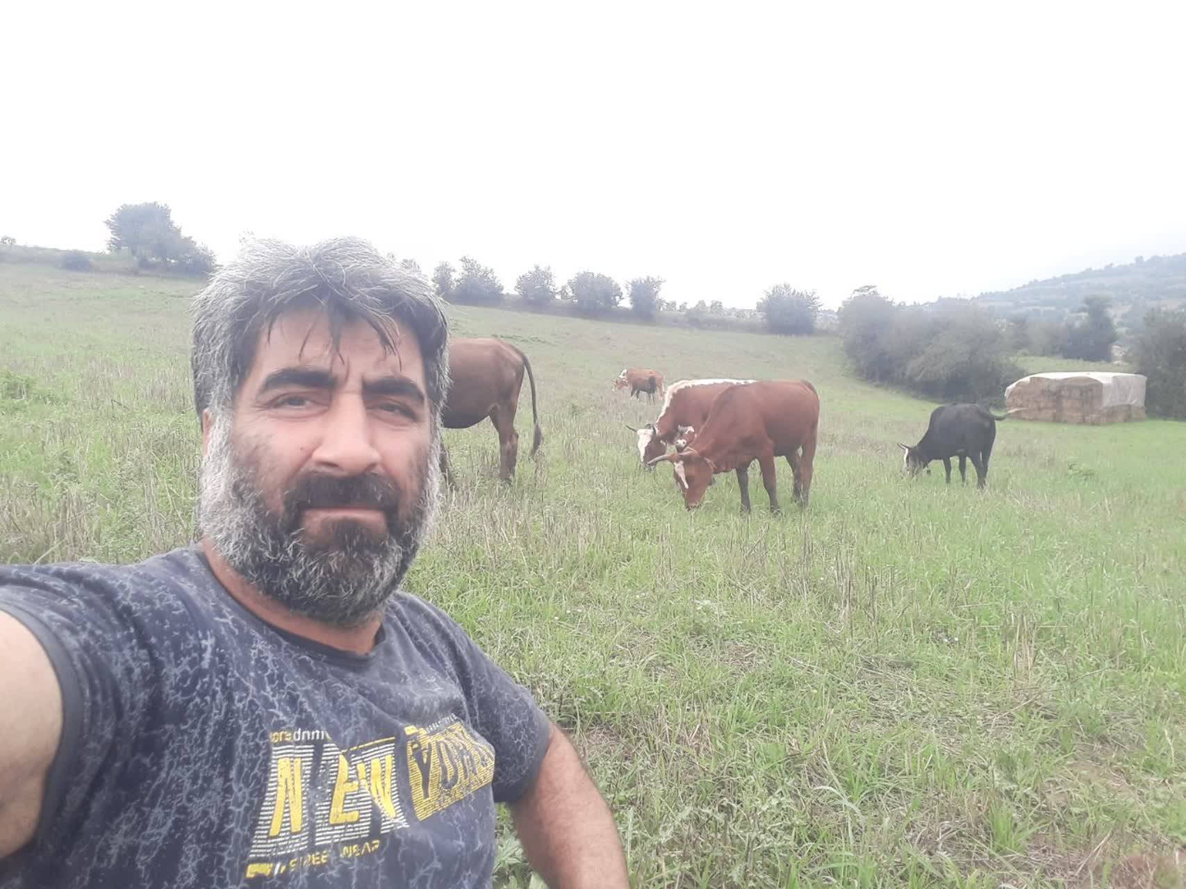 نمایی از طبیعت روستای شیرداری