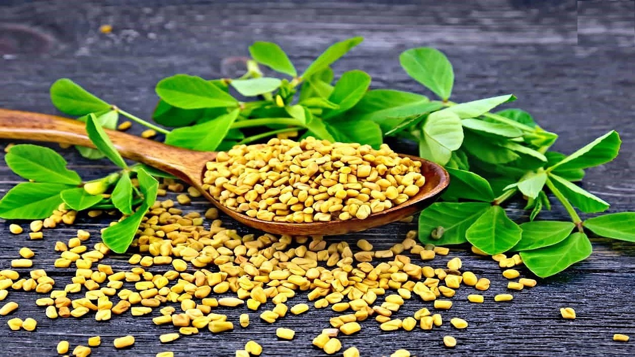 خواص گیاه شنبلیله + فیلم