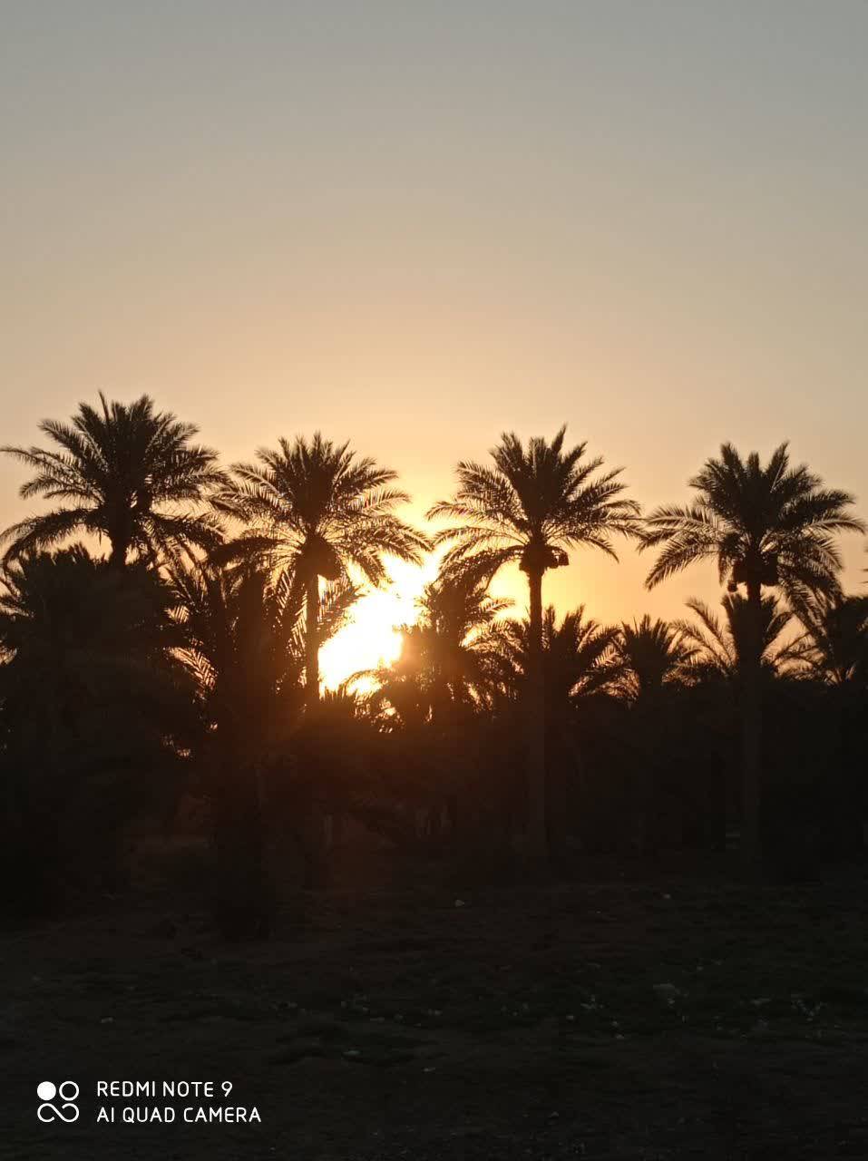 نمایی از زائران اربعین نمایی از زائران اربعین