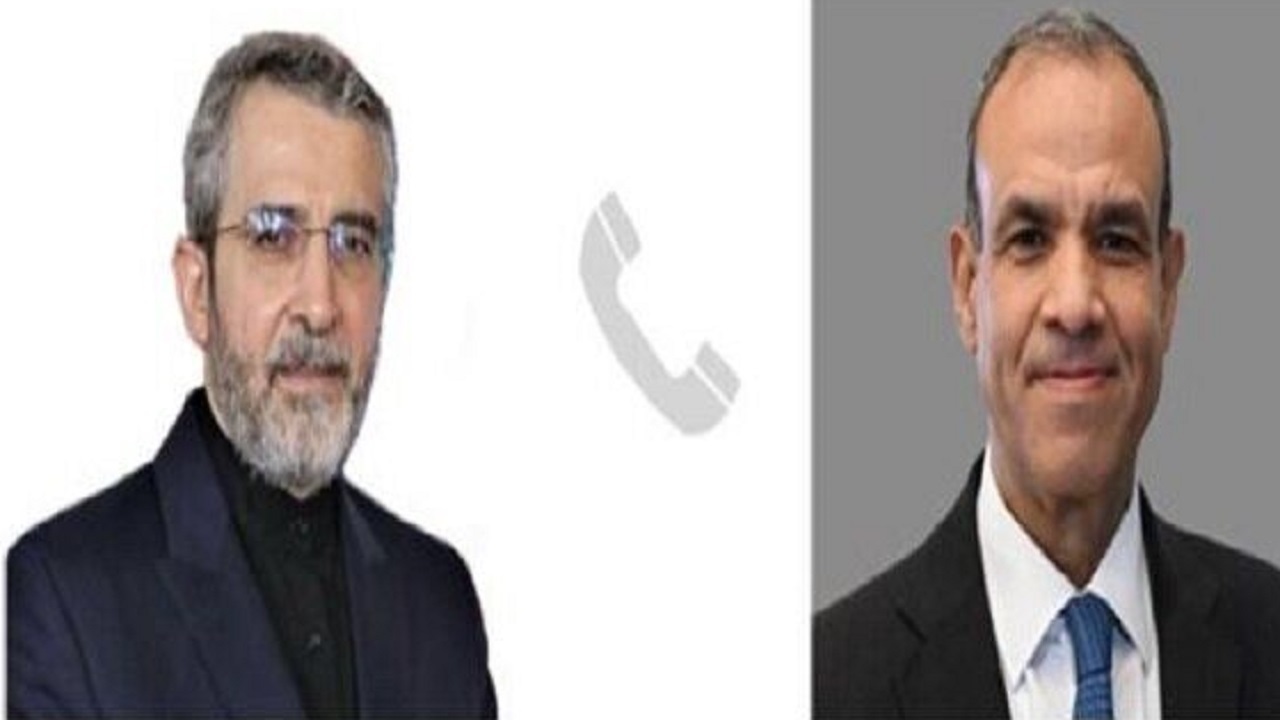 گفت‌وگوی تلفنی وزیر امور خارجه مصر و باقری با محوریت تحولات منطقه
