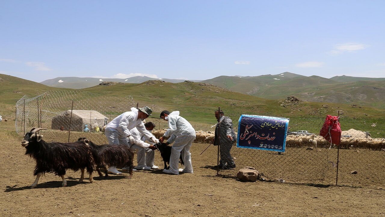 توزیع ۳۷۰ کانکس بهداشتی بین عشایر در سطح کشور