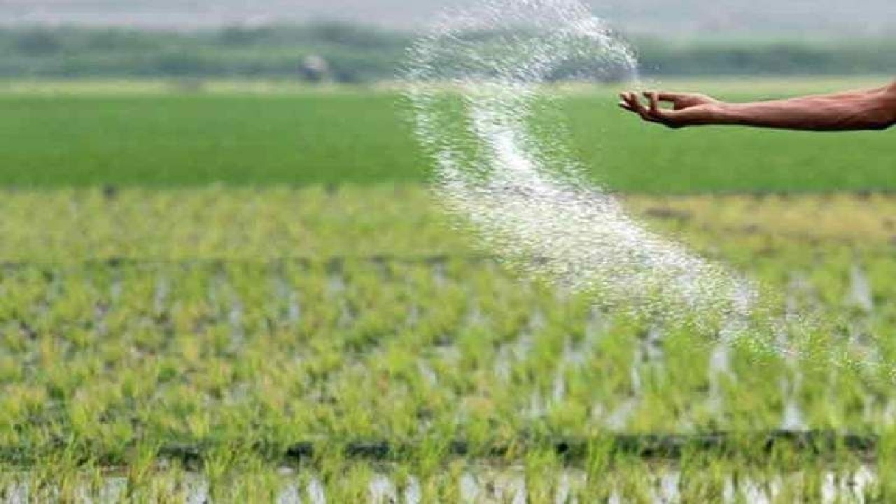 کود کشاورزی " الکسیر" تقلبی است