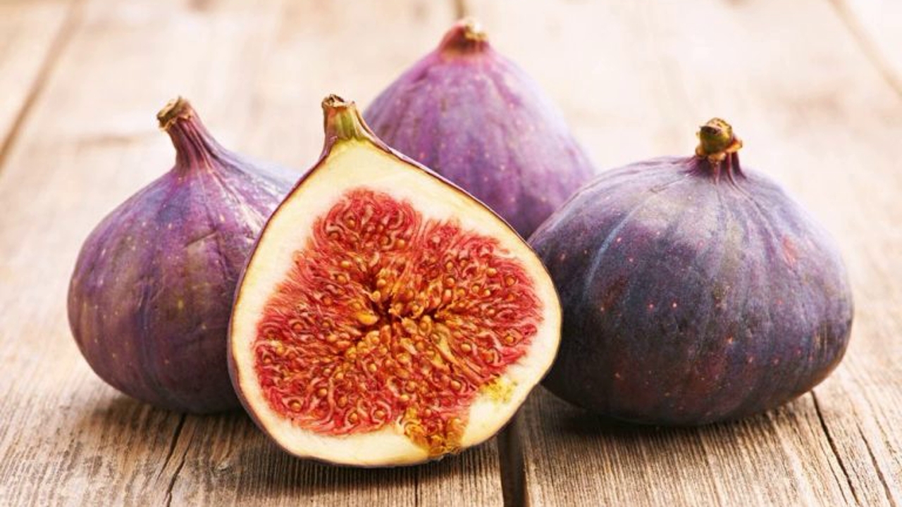 مواد غذایی لطیف با هضم آسان