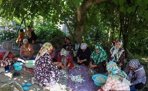 &laquo;کچ واچینی&raquo; رسمی خاطره انگیز در گیلان