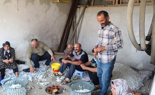 &laquo;کچ واچینی&raquo; رسمی خاطره انگیز در گیلان
