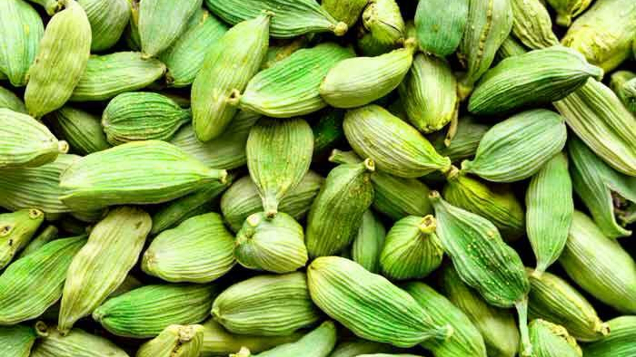 درمان قطعی تهوع در پیاده‌روی اربعین