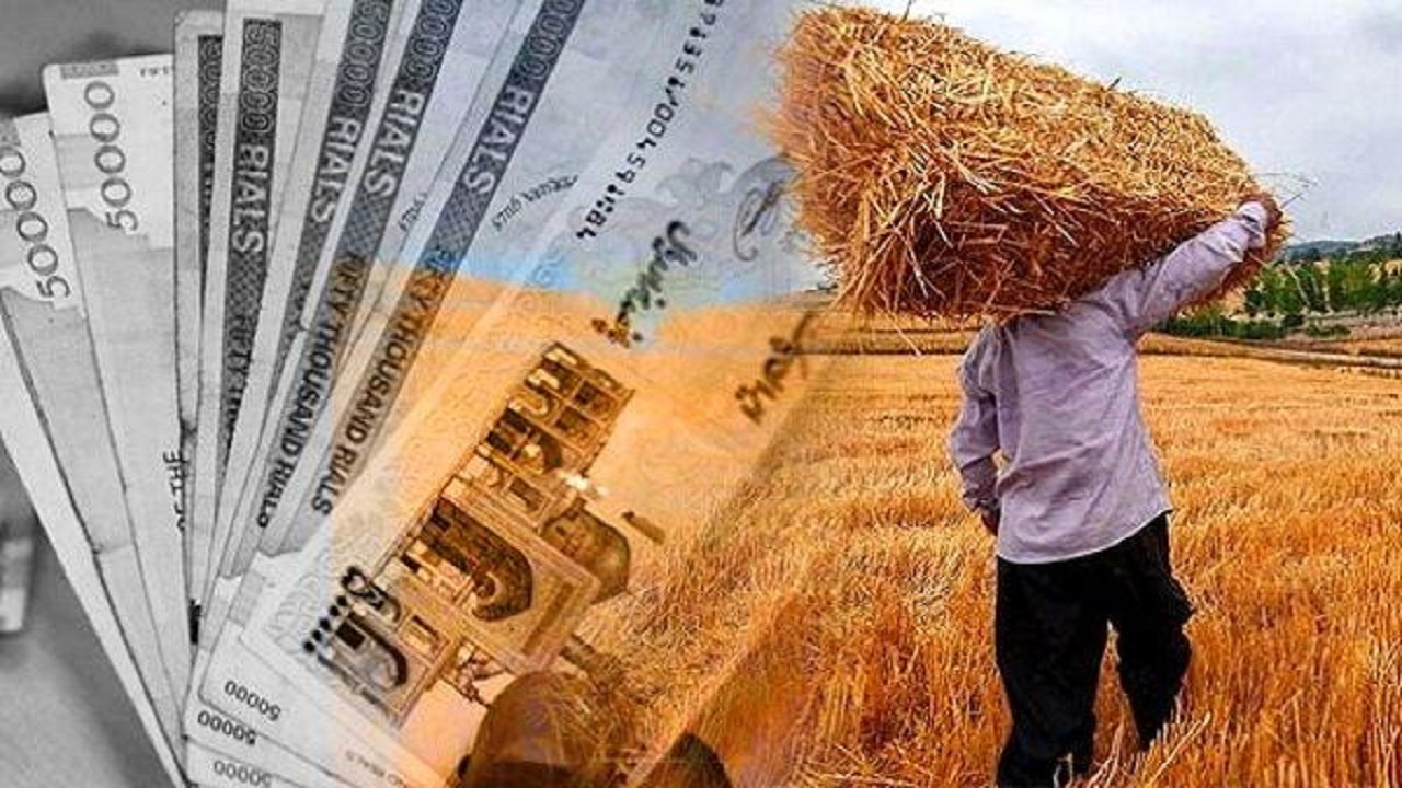 تاخیر در پرداخت مطالبات گندم و دردسر‌های آن برای کشاورزان اسلام آباد