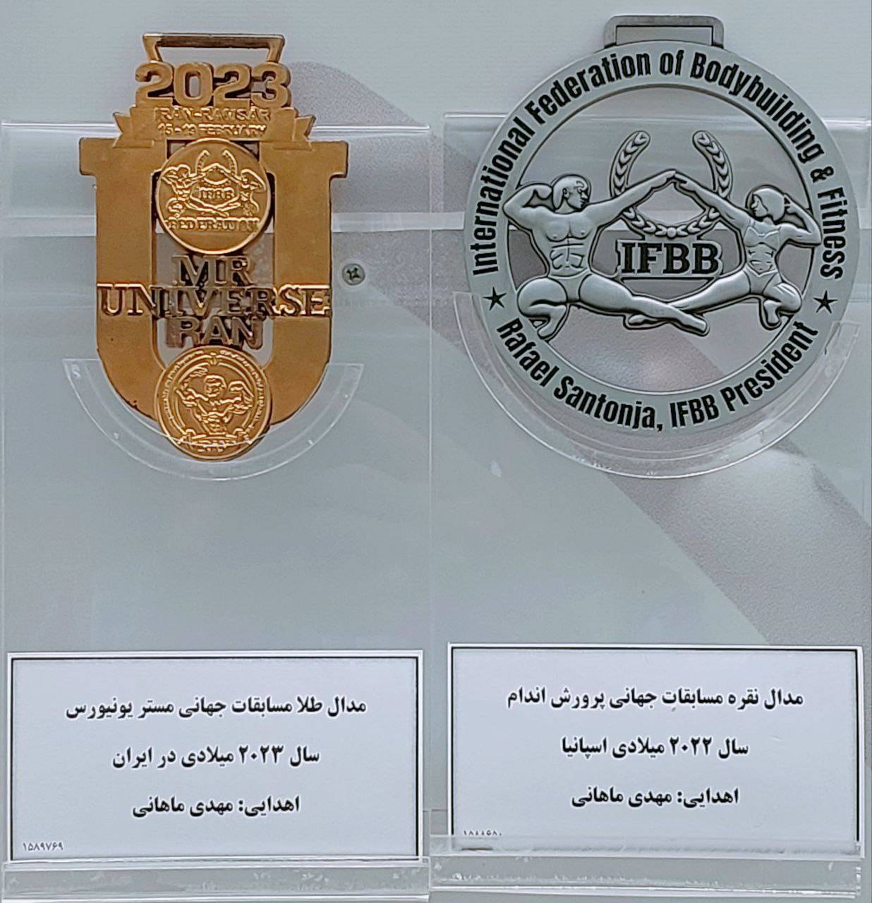 مدال نقره مسابقات جهانی