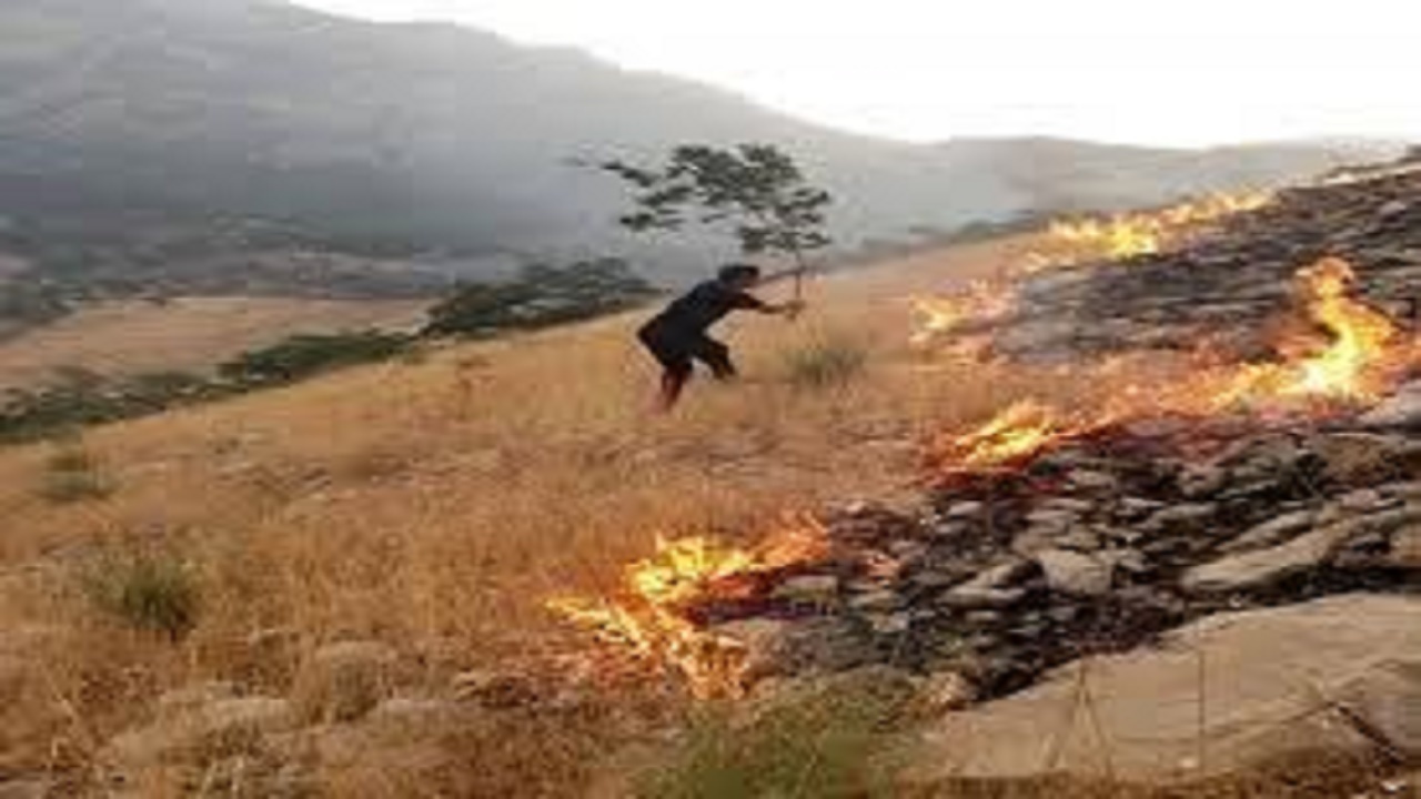 ادامه سريال آتش سوزی جنگلها در باشت