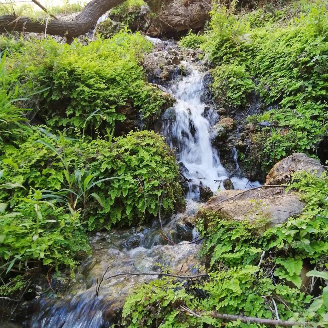 طبیعت