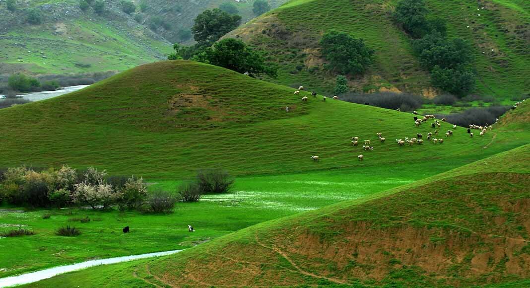 کوهرنگ بختیاری