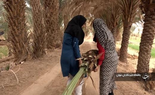 گردشگری کشاورزی صنعتی نوپا با تلاش خواهران خلاق کویر در بافق +عکس