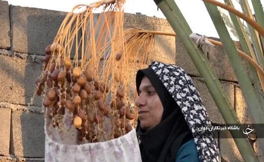 گردشگری کشاورزی صنعتی نوپا با تلاش خواهران خلاق کویر در بافق +عکس