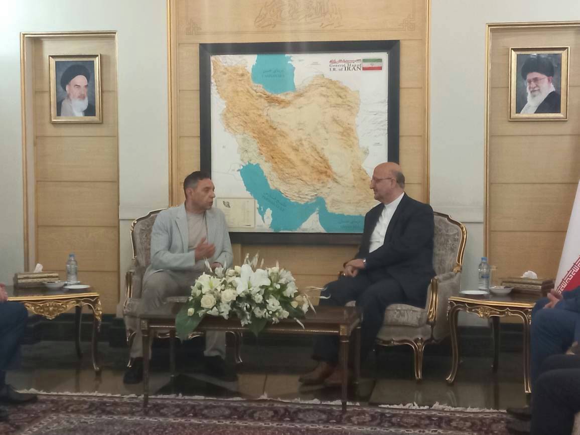 الکساندر وولین معاون نخست وزیر صربستان فرستاده رئیس جمهور صربستان