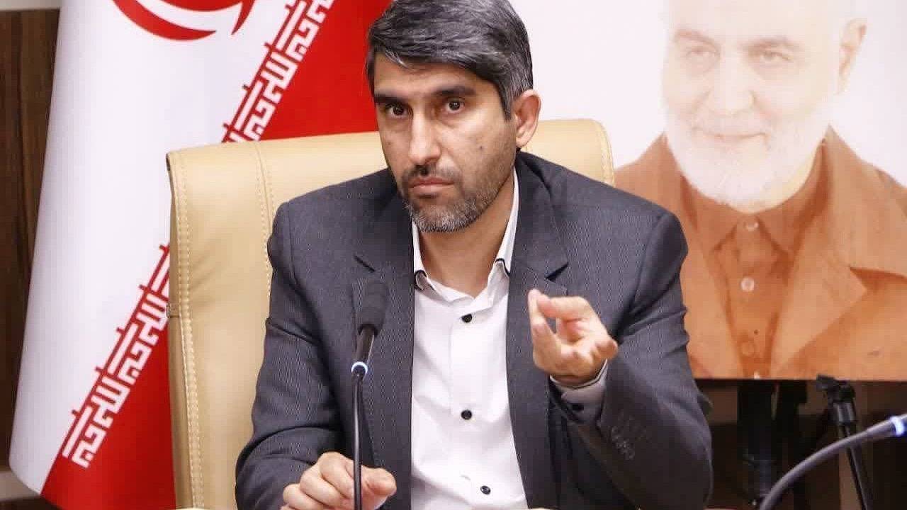 از اجرای طرح « جمع‌آوری سگ‌های بلاصاحب» در کرمان چه خبر؟