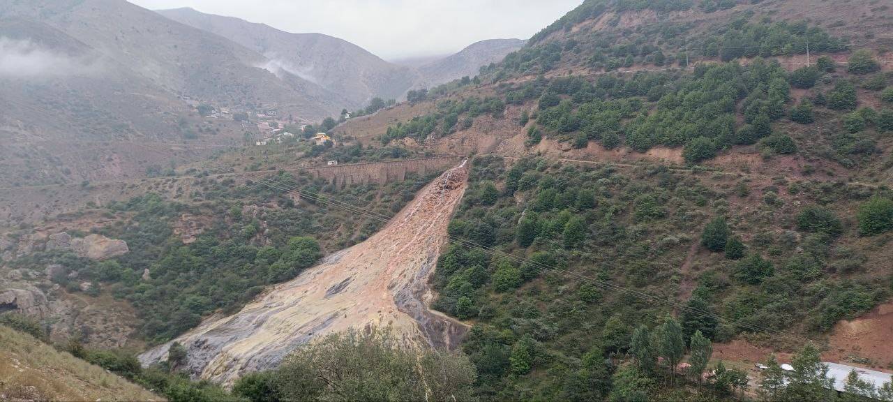 طبیعت سرسبز