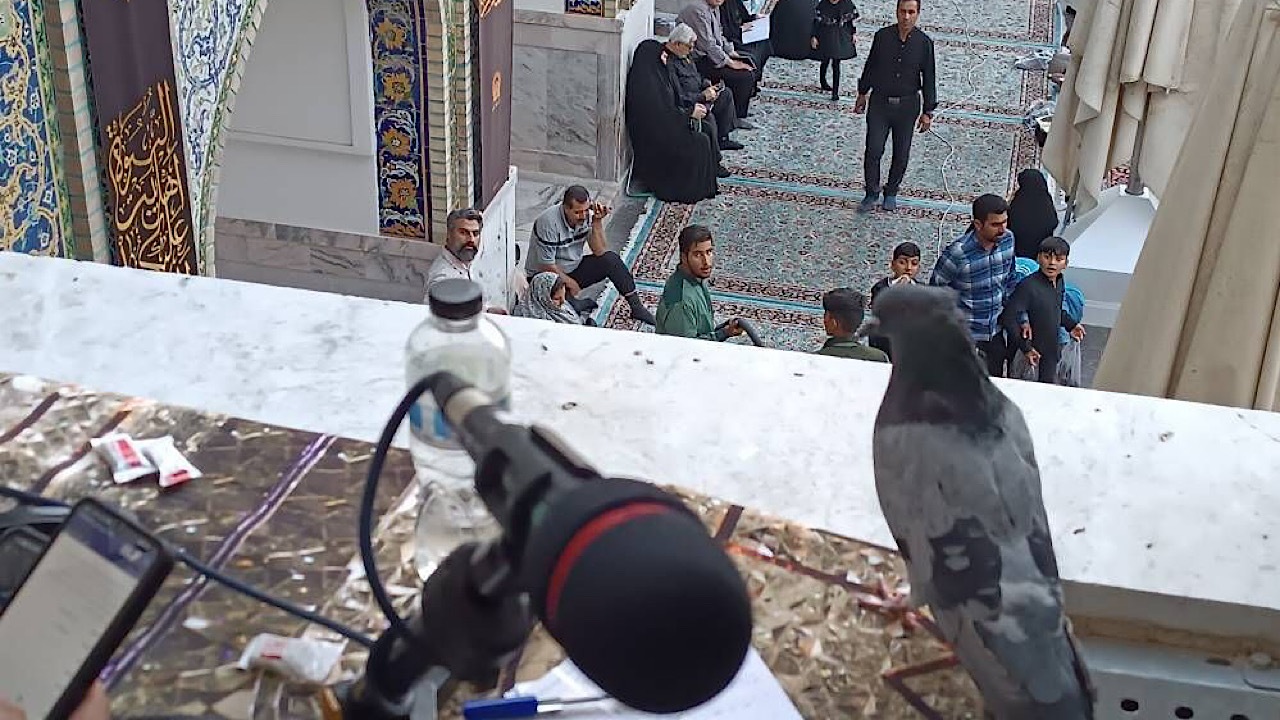 برنامه‌های رادیو در سالروز شهادت امام رضا (ع)