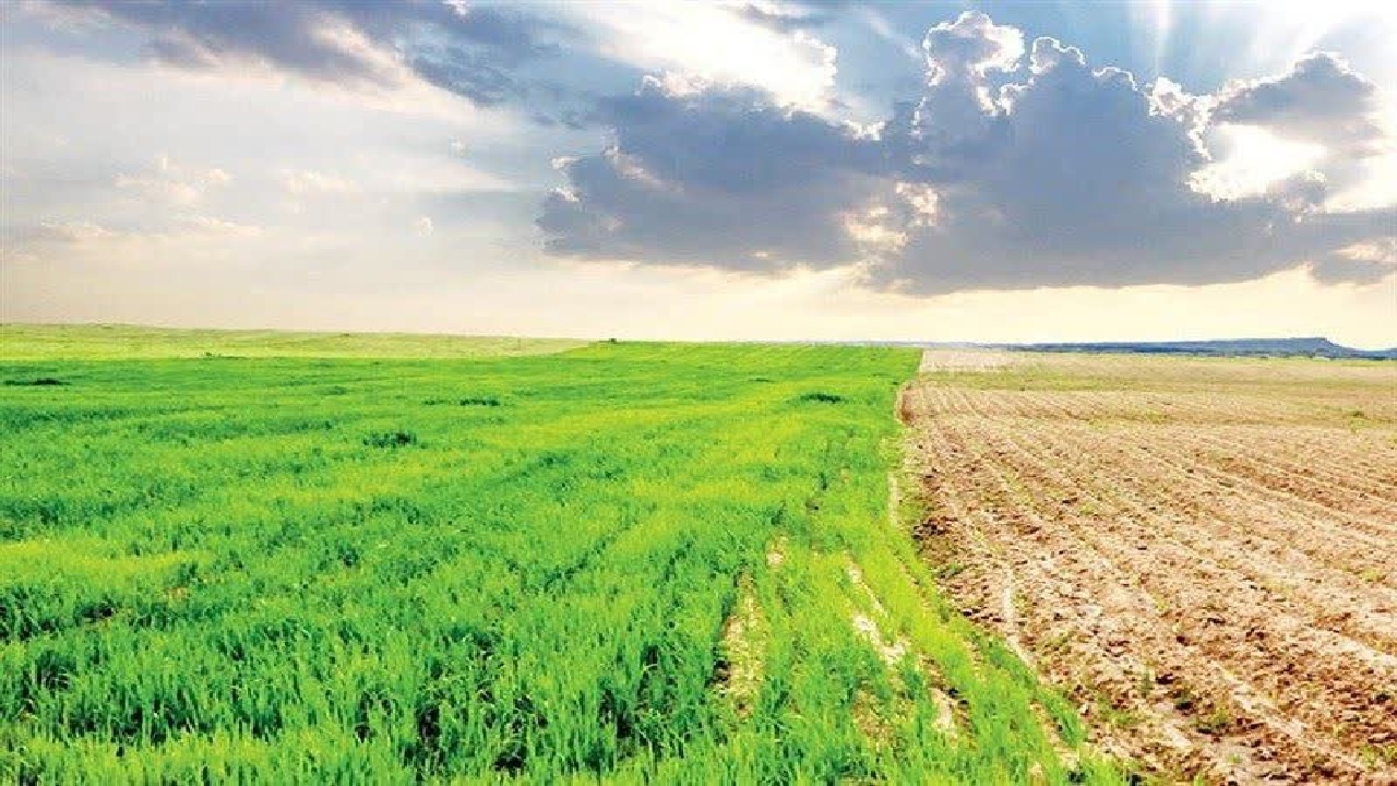 پیگیری مطالعات خاک‌شناسی در لرستان