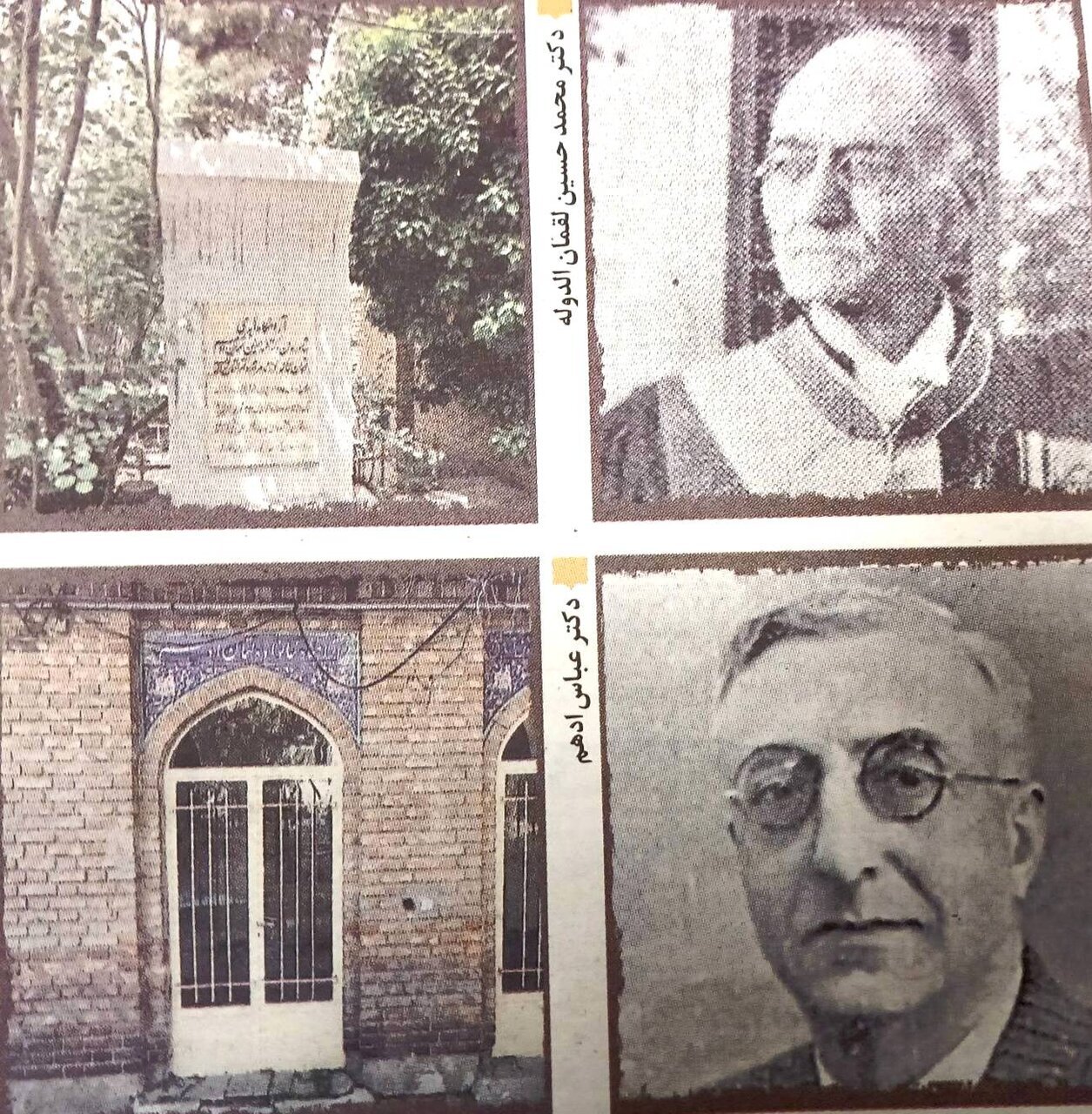 خاندان مشهوز پزشک