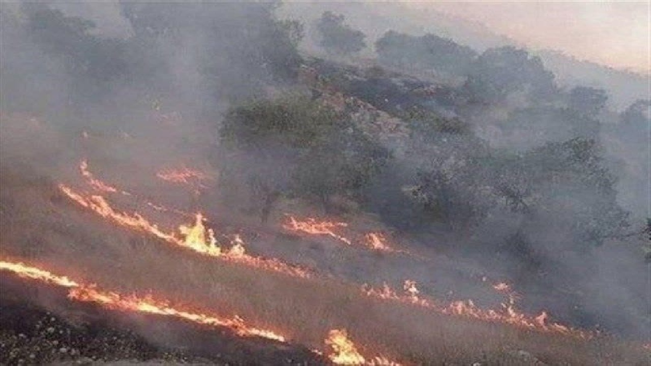 آتش‌سوزی روزانه در جنگل‌های لرستان/ ۳۰مظنون شناسایی شدند