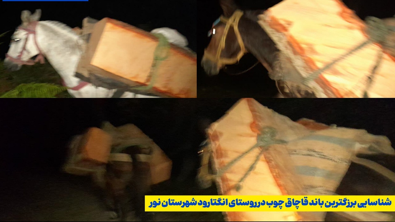 شناسایی بزرگترین باند قاچاق چوب در روستای انگتارود شهرستان نور