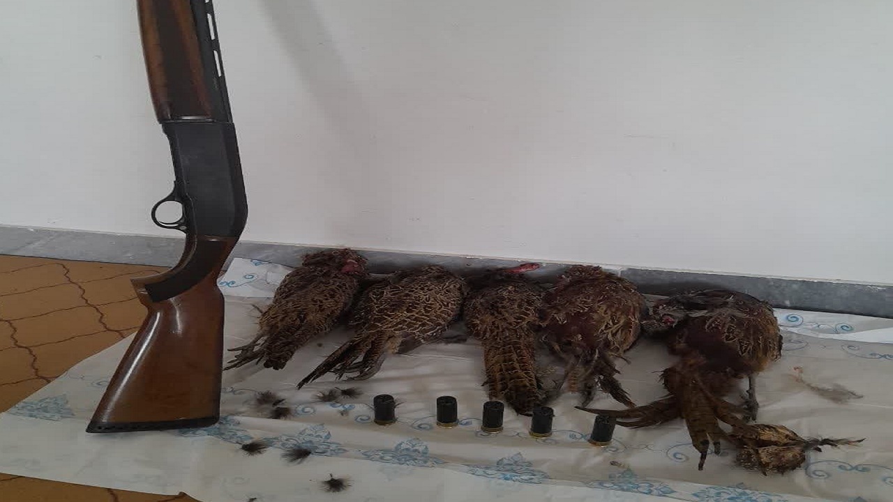 دستگیری ۱۲ شکارچی غیرمجاز در مازندران