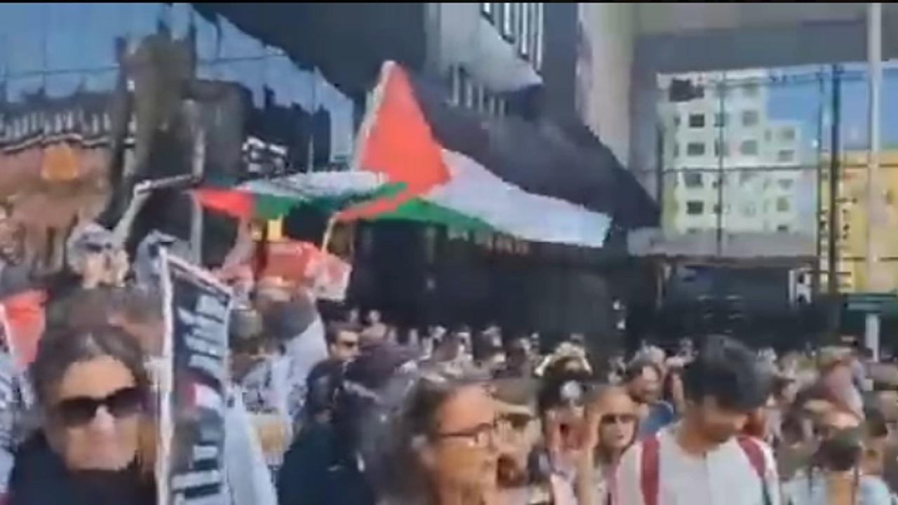 تجمع دانشجویان حامی فلسطین در هلند + فیلم